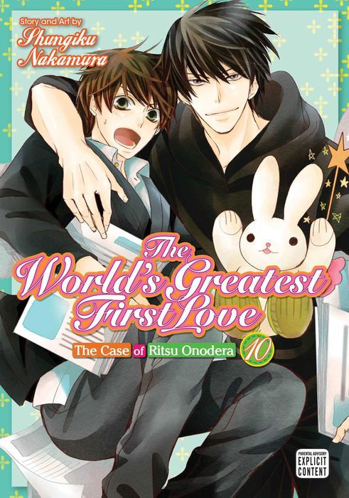 The World's Greatest First Love Vol.10 The Case of Ritsu Onodera