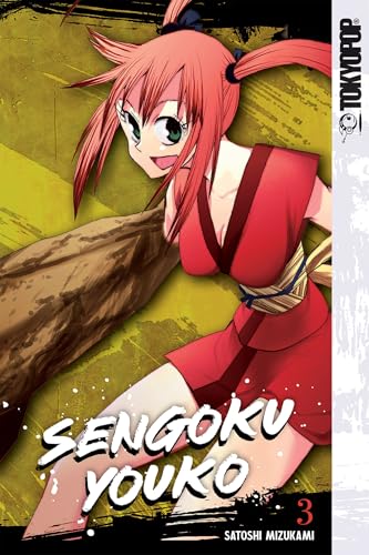 Sengoku Youko Vol. 3