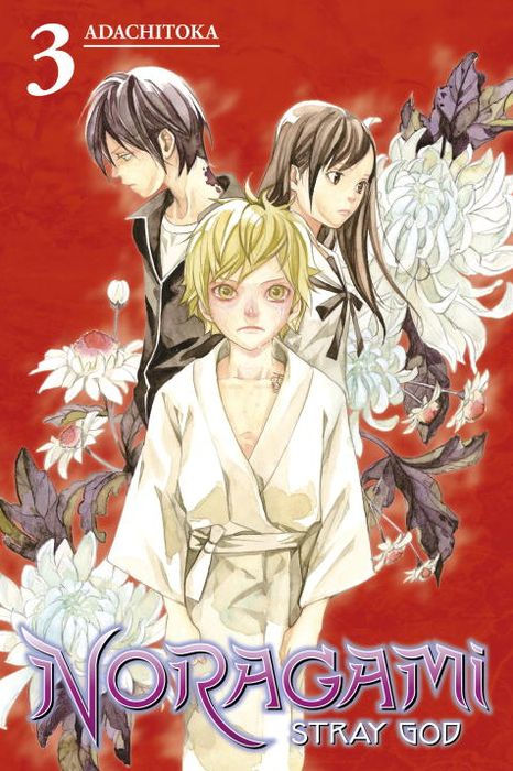 Noragami Stray God Vol.3