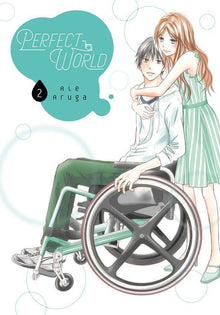 Perfect World Vol.2