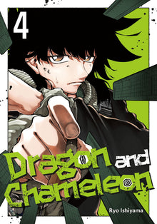 Dragon and Chameleon Vol.4