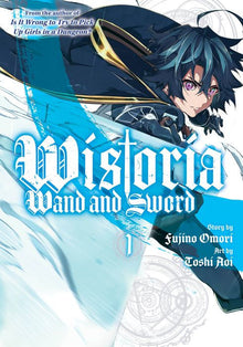 Wistoria Wand and Sword Vol.1