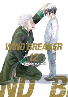 Wind Breaker Vol.12