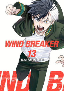 Wind Breaker Vol.13