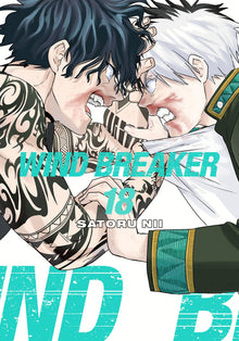 Wind Breaker Vol.18