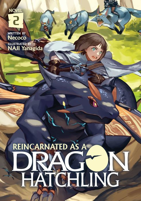 Reincarnated as a Dragon Hatchling (Light Novel) Vol.2