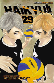Haikyu Vol. 29