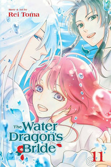 Water Dragon's Bride Vol. 11