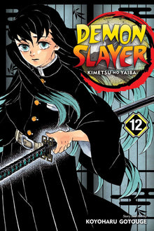 Demon Slayer Kimetsu No Yaiba Vol. 12
