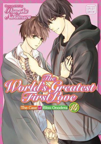 The World's Greatest First Love Vol.14 The Case of Ritsu Onodera