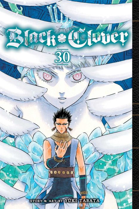 Black Clover Vol. 30