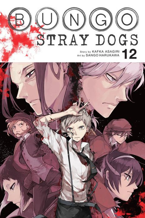 Bungo Stray Dogs Vol. 12