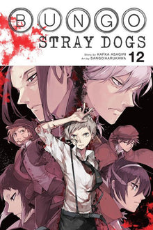 Bungo Stray Dogs Vol. 12