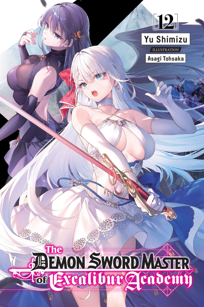 The Demon Sword Master of Excalibur Academy Vol.12 (Light Novel) Vol.12