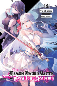 The Demon Sword Master of Excalibur Academy Vol.12 (Light Novel) Vol.12
