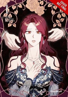 Not Your Typical Reincarnation Story Vol. 1