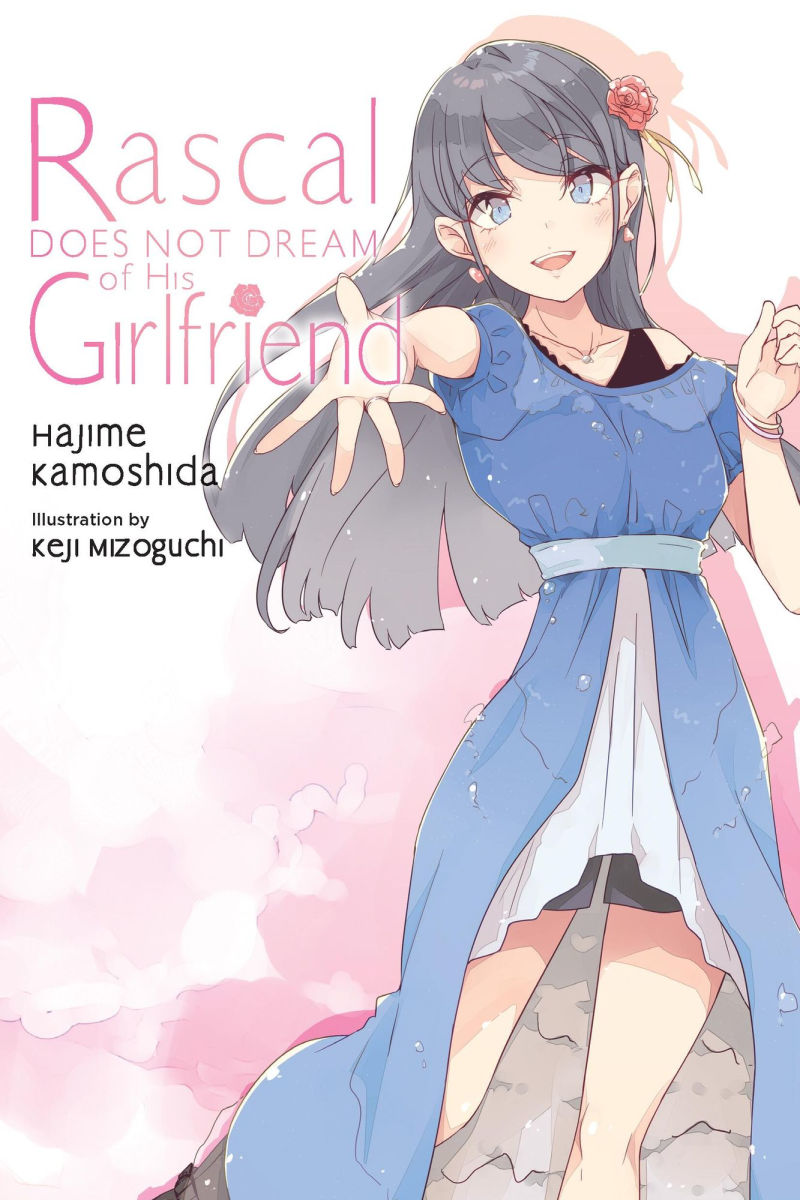 Rascal Does Not Dream of His Girlfriend (Light Novel) Vol.14