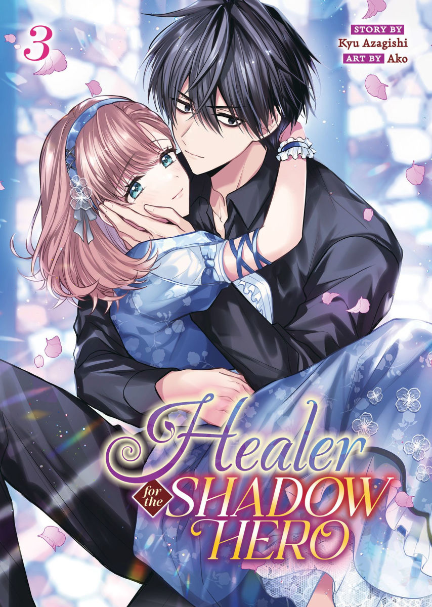 Healer for the Shadow Hero Vol.3