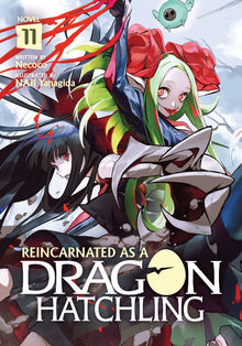Reincarnated as a Dragon Hatchling (Light Novel) Vol.11