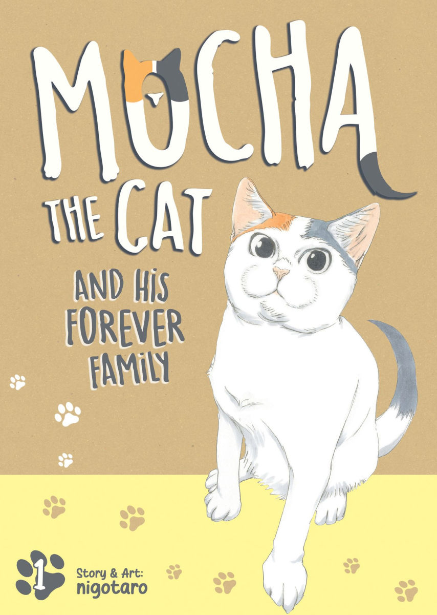 Mocha the Cat and His Forever Family Vol.1