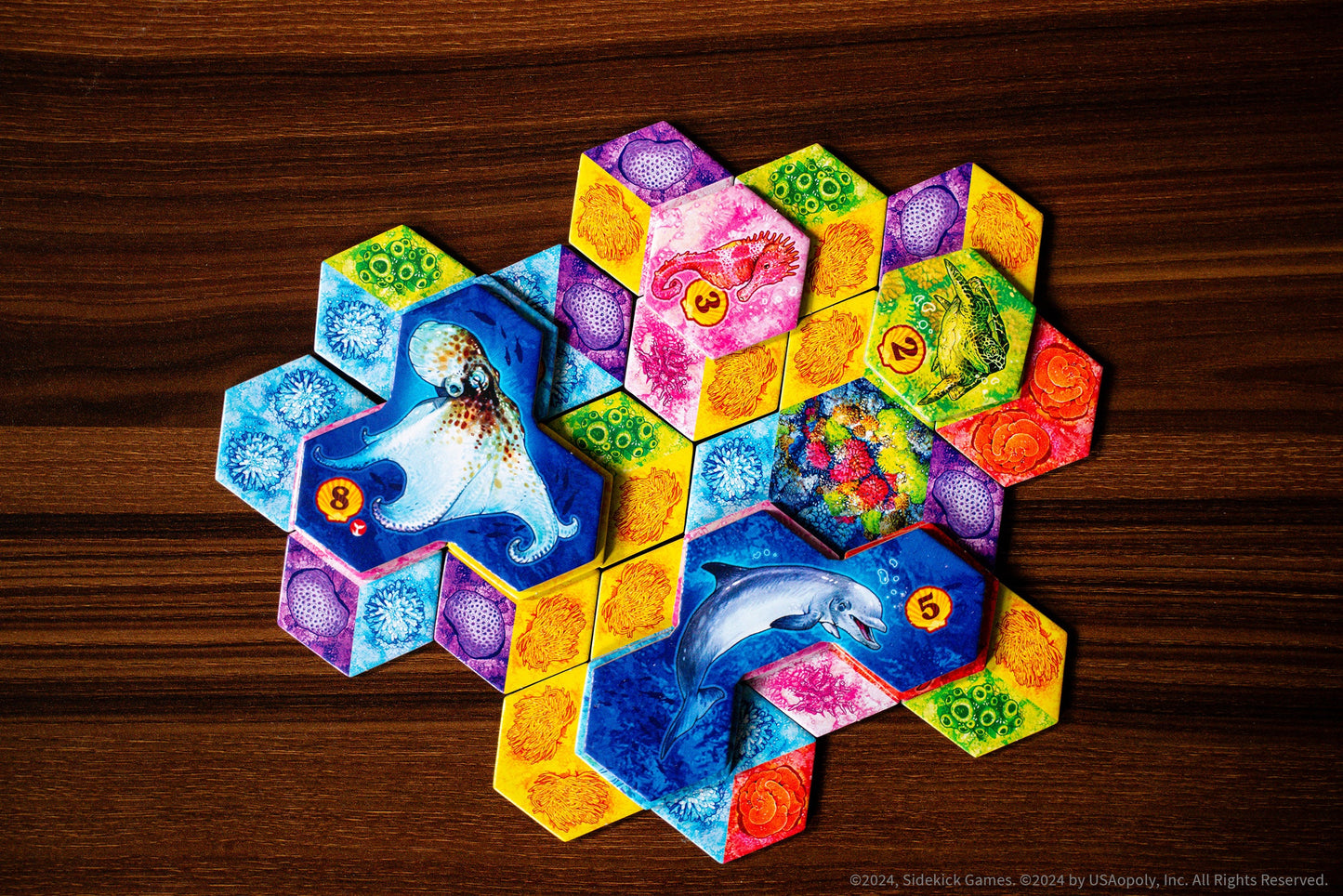 AQUA board game