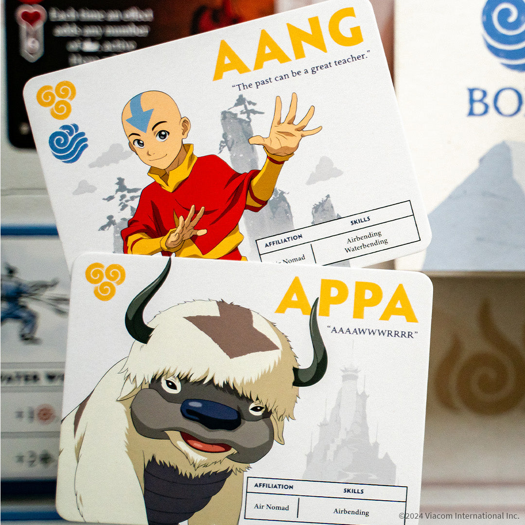 Avatar: The Last Airbender: Aang's Destiny