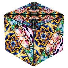 Shashibo: Icosa: Atlantis Standard