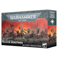 43-67 Warhammer 40,000: Chaos Space Marines: Fellgor Beastmen