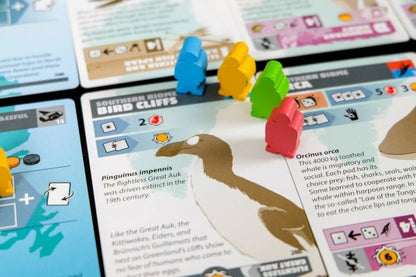 Greenland board game