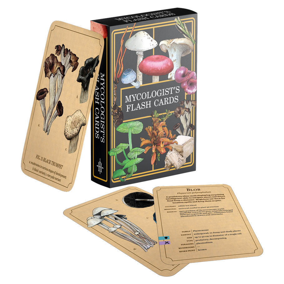 Mycologist's Primer: Flash Cards