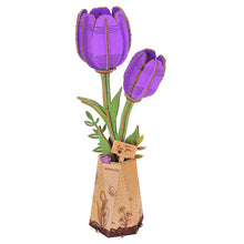 Purple Tulip