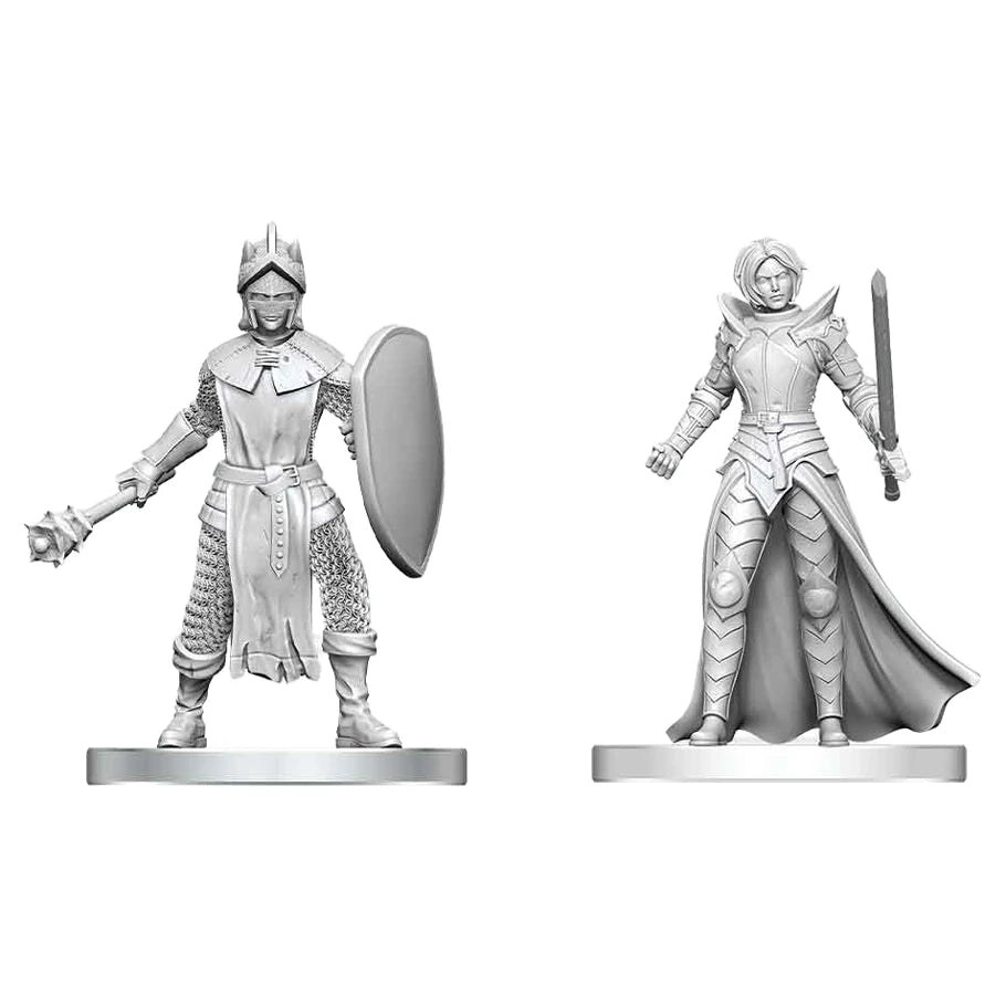 D&D: Nolzur's Marvelous Miniatures: Black Gauntlet & Zhentilar Paladin of Bane