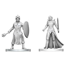 D&D: Nolzur's Marvelous Miniatures: Black Gauntlet & Zhentilar Paladin of Bane