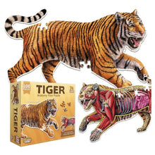 Puzzle: Animal Anatomy: Floor Puzzle: Tiger 100pc - Cats In Hat Inc.