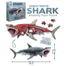 Puzzle: Animal Anatomy: Floor Puzzle: Shark 100pc - Cats In Hat Inc.