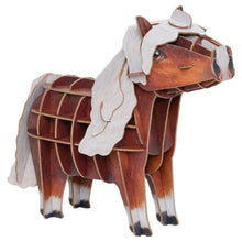 Voices of Nature: Black Forest Horse