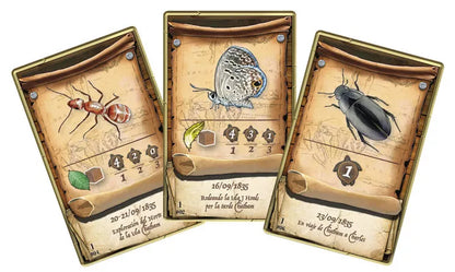 On The Origin Of Species - Cats In Hat Inc.