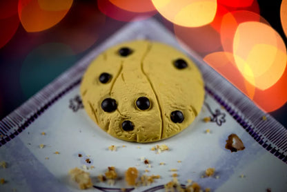 Hats - Cats In Hat Inc.