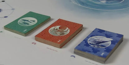 Namiji - Cats In Hat Inc.