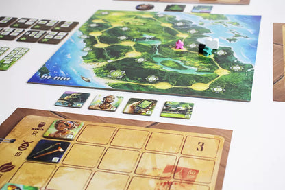 Sumatra - Cats In Hat Inc.