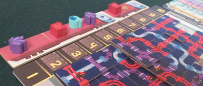 Curious Cargo - Cats In Hat Inc.