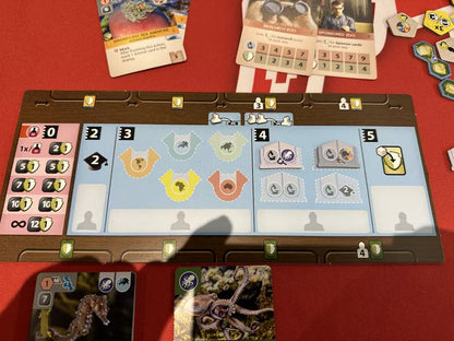 Ark Nova: Marine Worlds Expansion - Cats In Hat Inc.