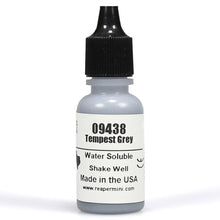 Master Series Paints: Bones: Tempest Grey - Cats In Hat Inc.