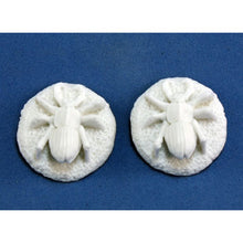 Bones: Vermin: Beetles (2) - Cats In Hat Inc.