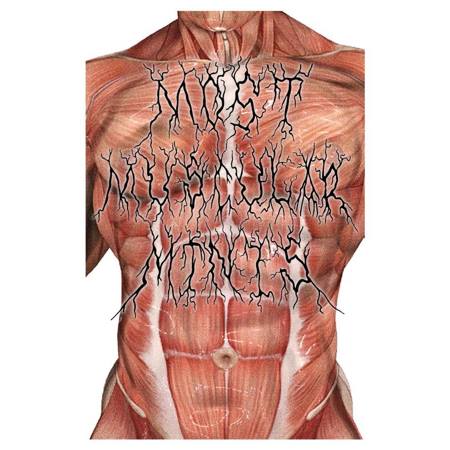 Most Muscular Minis
