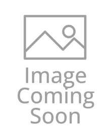 Magic the Gathering: Avatar the Last Airbender Token Set