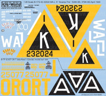 1/48 B17 Swamp Fire Delta Rebel II