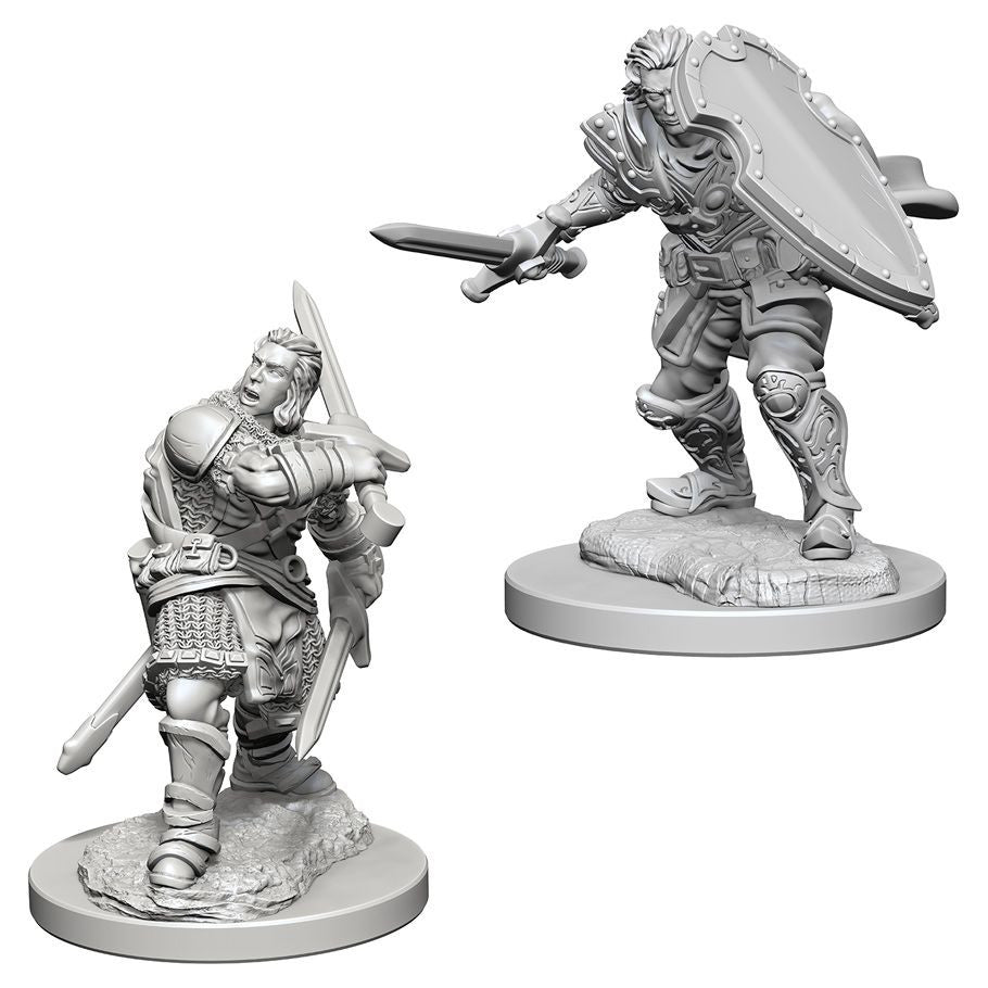 D&D: Nolzur's Marvelous Minis: Human Male Paladin W3 (Unpainted)