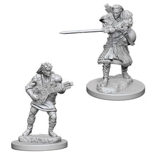 D&D: Nolzur's Marvelous Minis: Human Male Bard W4 (Unpainted)