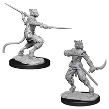 D&D: Nolzur's Marvelous Minis: Male Tabaxi Rogue W7 (Unpainted)